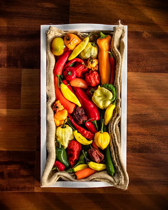 Beverage Photography